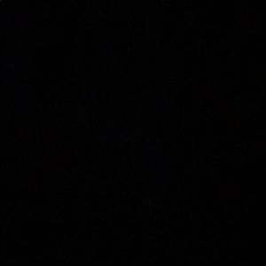 Meet your Posher, Carly